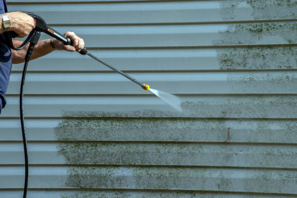 Best Restaurant Pressure Washing  in Warren, MN